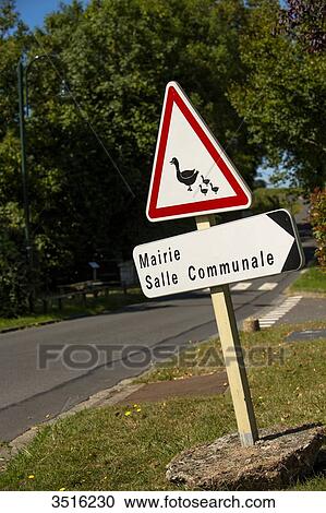 France, Normandy, Gonneville en Auge, Road sign signaling the potential passage of ducks crossing the road. View Large Photo Image Stock Image - France, Normandy, Gonneville en Auge, Road sign signaling the potential passage of ducks crossing the road.. Fotosearch