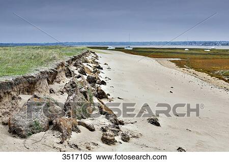 France, Normandy. Manche. Agon-Coutainville. Protected natural site Agon-Coutainville Cape. View Large Photo Image Stock Photography - France, Normandy. Manche. Agon-Coutainville. Protected natural site Agon-Coutainville Cape.. Fotosearch