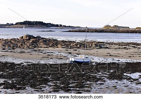 Stock Image - France, North-Western France, Brittany, Roscof harbour, foreshore and wrack, beach at low tide. Fotosearch