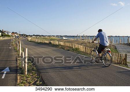 France, North-Western France, Saint-Michel-Chef-Chef, Tharon-plage, man riding a bike on the bicycle path along the sea View Large Photo Image Stock Image - France, North-Western France, Saint-Michel-Chef-Chef, Tharon-plage, man riding a bike on the bicycle path along the sea. Fotosearch