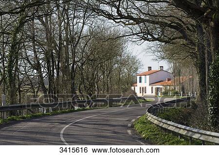 France, North-Western France, Saint-Marc-de-Coutais, bend on the departmental road D264 View Large Photo Image Stock Photograph - France, North-Western France, Saint-Marc-de-Coutais, bend on the departmental road D264. Fotosearch