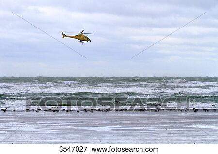 Stock Photo - France, Northern France, Le Touquet, helicopter above the Channel.. Fotosearch