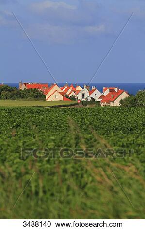 France, Northern France, Opal Coast, Cap Gris Nez, Le cran aux oeufs, houses View Large Photo Image Stock Image - France, Northern France, Opal Coast, Cap Gris Nez, Le cran aux oeufs, houses. Fotosearch