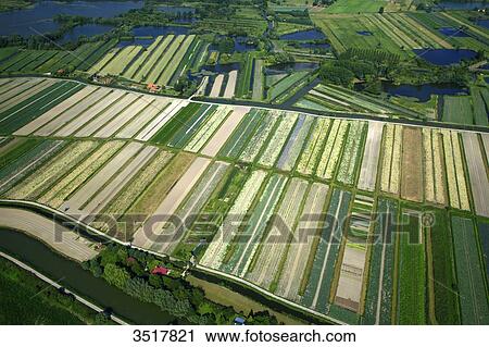 Stock Image - France, Northern France, Pas de Calais, Audomarois. Audomarois marsh or St-Omer marsh.. Fotosearch
