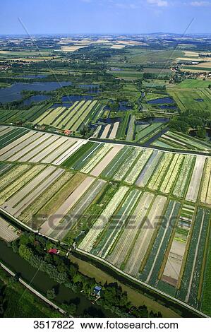 France, Northern France, Pas de Calais, Audomarois. Audomarois marsh or St-Omer marsh. View Large Photo Image Stock Image - France, Northern France, Pas de Calais, Audomarois. Audomarois marsh or St-Omer marsh.. Fotosearch