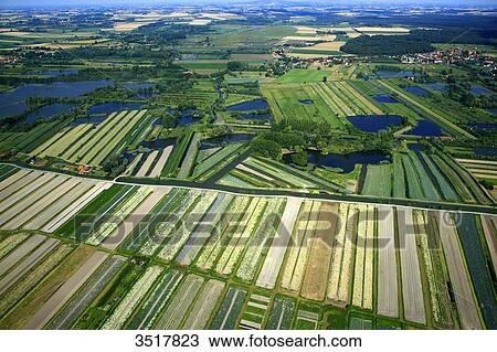France, Northern France, Pas de Calais, Audomarois. Audomarois marsh or St-Omer marsh. View Large Photo Image Stock Image - France, Northern France, Pas de Calais, Audomarois. Audomarois marsh or St-Omer marsh.. Fotosearch