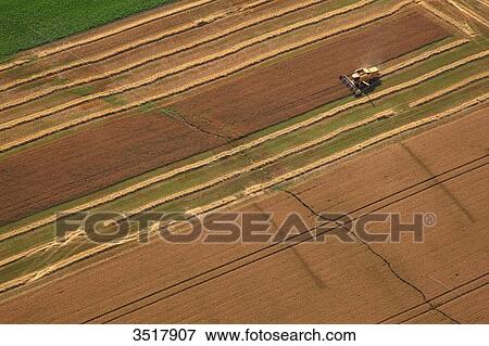 Stock Photo - France, Northern France, Pas de Calais. Harvest;. Fotosearch