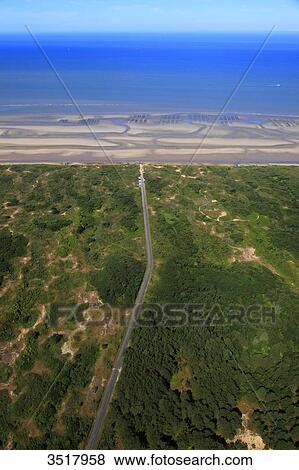 France, Northern France, Pas de Calais. Dannes beach View Large Photo Image Stock Photo - France, Northern France, Pas de Calais. Dannes beach. Fotosearch