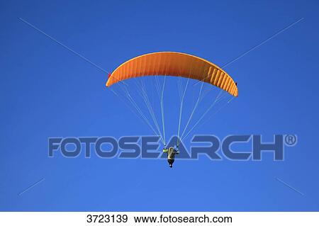 France, paragliding View Large Photo Image Stock Photo - France, paragliding. Fotosearch