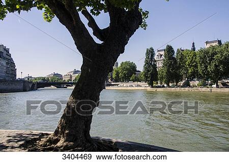 France, Paris 4 eme, Ile St Louis at the confluence of the Seine with the Hotel de Ville View Large Photo Image Stock Photo - France, Paris 4 eme, Ile St Louis at the confluence of the Seine with the Hotel de Ville. Fotosearch