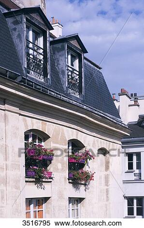 France. Paris. 4th district. The Marais. Flowered windows View Large Photo Image Stock Photography - France. Paris. 4th district. The Marais. Flowered windows. Fotosearch