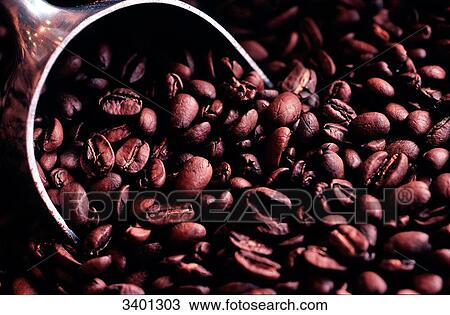 France, Paris, 9th district, high quality coffee shop where the coffee is roasted according to a craftsman-inspired method View Large Photo Image Stock Image - France, Paris, 9th district, high quality coffee shop where the coffee is roasted according to a craftsman-inspired method. Fotosearch