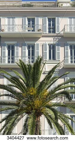 France, South-Eastern France, French Riviera, Nice, building's facade on the Promenade des Anglais with palm tree View Large Photo Image Stock Photo - France, South-Eastern France, French Riviera, Nice, building's facade on the Promenade des Anglais with palm tree. Fotosearch