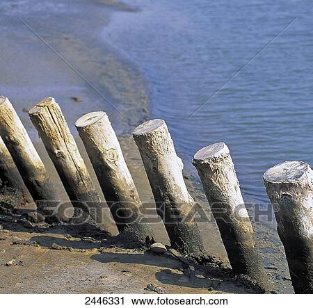 France, South-Eastern France, wooden piles driven into the marsh View Large Photo Image Stock Image - France, South-Eastern France, wooden piles driven into the marsh. Fotosearch