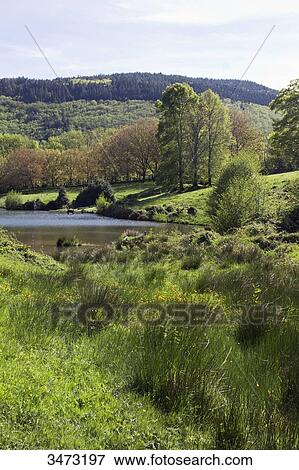 France, South-Western France, Haut-Languedoc Regional Nature Park, Montagne Noire, flood defence structure View Large Photo Image Stock Photo - France, South-Western France, Haut-Languedoc Regional Nature Park, Montagne Noire, flood defence structure. Fotosearch