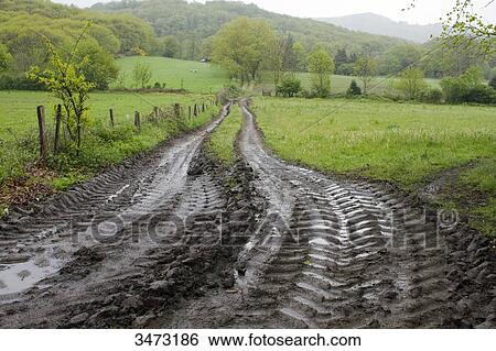 France, South-Western France, Haut-Languedoc Regional Nature Park, Montagne Noire, rubber tire marks on a wet path View Large Photo Image Stock Photograph - France, South-Western France, Haut-Languedoc Regional Nature Park, Montagne Noire, rubber tire marks on a wet path. Fotosearch