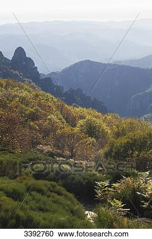 France, Southern France, Haut-Languedoc Regional Nature Park, Caroux Massif in Fall, southern part of the Massif Central View Large Photo Image Stock Image - France, Southern France, Haut-Languedoc Regional Nature Park, Caroux Massif in Fall, southern part of the Massif Central. Fotosearch