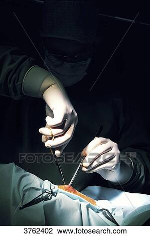 France, veterinary clinic. Chirurgy. View Large Photo Image Stock Image - France, veterinary clinic. Chirurgy.. Fotosearch
