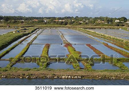 Stock Photo - France, Western France, Noirmoutier island, Noirmoutier-en-l'ile, salt evaporation pond. Fotosearch