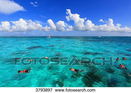 Grand Cayman, Cayman Islands View Large Photo Image Stock Photo - Grand Cayman, Cayman Islands. Fotosearch
