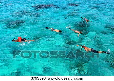 Grand Cayman, Cayman Islands View Large Photo Image Stock Photograph - Grand Cayman, Cayman Islands. Fotosearch