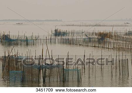 Stock Photo - India, East India, Orissa, Chilika Lake, Sataparha, schrimp farm. Fotosearch