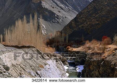 Picture - India, Ladakh, Indian State Jammu and Kashmir, mountain landscape in the region located between Lamayuru and Temisgam, relief and fruit trees. Fotosearch