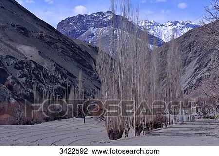 India, Ladakh, Indian State Jammu and Kashmir, mountain landscape in the region located between Lamayuru and Temisgam, relief and fruit trees View Large Photo Image Stock Image - India, Ladakh, Indian State Jammu and Kashmir, mountain landscape in the region located between Lamayuru and Temisgam, relief and fruit trees. Fotosearch