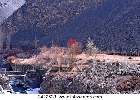 India, Ladakh, Indian State Jammu and Kashmir, mountain landscape in the region located between Lamayuru and Temisgam, relief and fruit trees View Large Photo Image Stock Image - India, Ladakh, Indian State Jammu and Kashmir, mountain landscape in the region located between Lamayuru and Temisgam, relief and fruit trees. Fotosearch