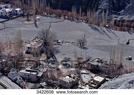 Stock Photo - India, Ladakh, Indian State Jammu and Kashmir, village of Temisgam, relief and fruit trees. agricultural parcels around the village. Fotosearch