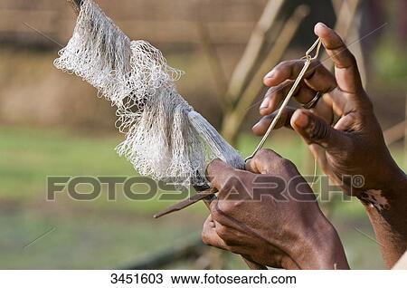 India, North-Eastern Orissa, Baleswar district, man making a fishing net View Large Photo Image Stock Image - India, North-Eastern Orissa, Baleswar district, man making a fishing net. Fotosearch