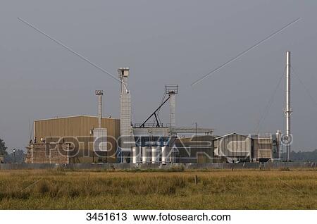 India, North-Eastern Orissa, Baleswar district, paddy treatment plant View Large Photo Image Stock Image - India, North-Eastern Orissa, Baleswar district, paddy treatment plant. Fotosearch
