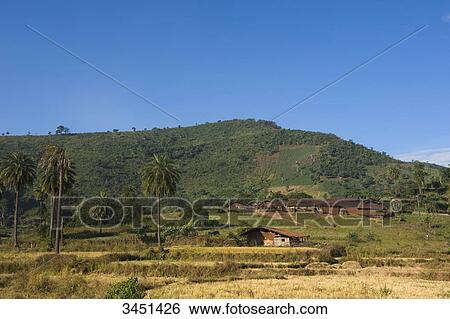 India, Orissa, Bhawanipatna district, Dongria Kondh ethnic group, village View Large Photo Image Stock Photograph - India, Orissa, Bhawanipatna district, Dongria Kondh ethnic group, village. Fotosearch