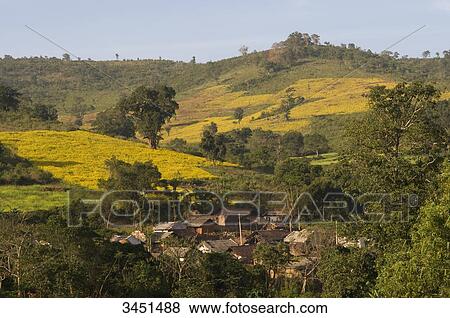 India, Orissa, Kendujahr district, Juang ethnic group, village of Talabaitarani View Large Photo Image Stock Photo - India, Orissa, Kendujahr district, Juang ethnic group, village of Talabaitarani. Fotosearch