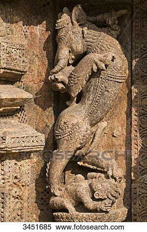 India, Orissa, Konarak, Sun Temple (13th century), sculpture of Yali View Large Photo Image Stock Photography - India, Orissa, Konarak, Sun Temple (13th century), sculpture of Yali. Fotosearch