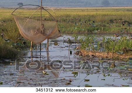 India, Orissa, Koraput district, near Jaypur, plaice fishing View Large Photo Image Stock Image - India, Orissa, Koraput district, near Jaypur, plaice fishing. Fotosearch