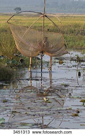 India, Orissa, Koraput district, near Jaypur, plaice fishing View Large Photo Image Stock Image - India, Orissa, Koraput district, near Jaypur, plaice fishing. Fotosearch