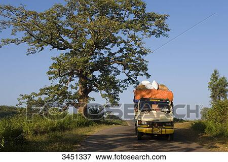 India, Orissa, Koraput district, transport of goods and passengers View Large Photo Image Stock Photo - India, Orissa, Koraput district, transport of goods and passengers. Fotosearch