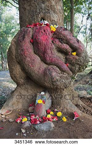 Stock Photograph - India, Orissa, Koraput district, tree, small altar dedicated to Shiva. Fotosearch