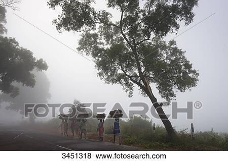 Stock Photo - India, Orissa, Koraput district, women carrying firewood on their head on the way to the market. Fotosearch