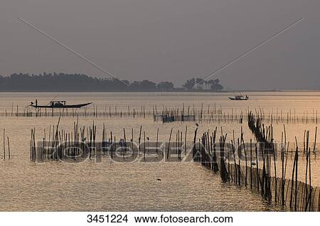 India, Orissa, Lake Chilika, Sataparha, shrimp farm View Large Photo Image Picture - India, Orissa, Lake Chilika, Sataparha, shrimp farm. Fotosearch