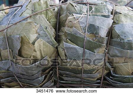 Stock Photograph - India, Orissa, Sambalpur district, market, Diospyros melanoxylon leaves for the Beedies manufacture. Fotosearch