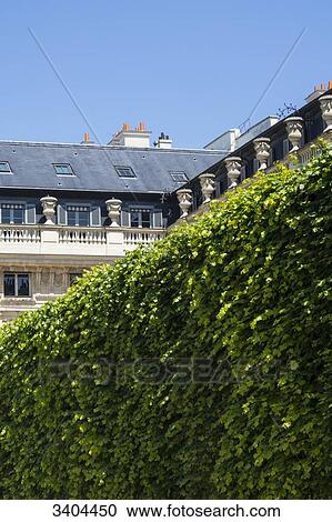 Stock Image - La France. The garden of the Royal Palace, Paris 75001 and its limestone lime trees. Fotosearch