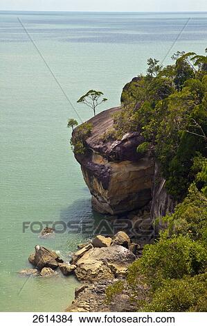 Malaysia, Island of Borno, Bako National Park along the South China Sea View Large Photo Image Picture - Malaysia, Island of Borno, Bako National Park along the South China Sea. Fotosearch