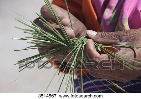 Mexico, Chihuahua State, Sierra Tarahumara, Creel, Tarahumara woman braiding a basketry View Large Photo Image Stock Photo - Mexico, Chihuahua State, Sierra Tarahumara, Creel, Tarahumara woman braiding a basketry. Fotosearch