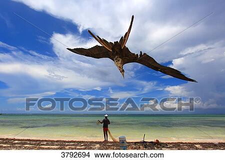 Mexico, Quintana Roo. Costa Maya. Mahahual. Beach. View Large Photo Image Picture - Mexico, Quintana Roo. Costa Maya. Mahahual. Beach.. Fotosearch