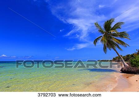 Mexico, Quintana Roo. Costa Maya. Mahahual. Beach. View Large Photo Image Stock Image - Mexico, Quintana Roo. Costa Maya. Mahahual. Beach.. Fotosearch