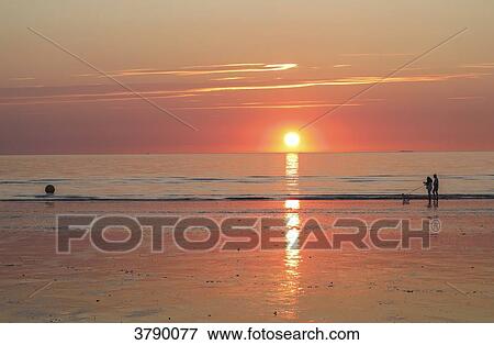 Stock Photo - Normandy, ouple with dog in the background walking in the sun on a beach. Fotosearch