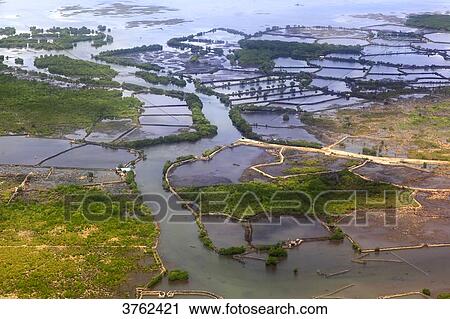 Philipins, Cebu City. Cebu Island. Mactan Island. Kalawisan View Large Photo Image Stock Image - Philipins, Cebu City. Cebu Island. Mactan Island. Kalawisan. Fotosearch