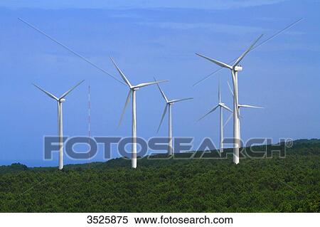 Portugal, Nazare. Wind mill. View Large Photo Image Stock Photography - Portugal, Nazare. Wind mill.. Fotosearch